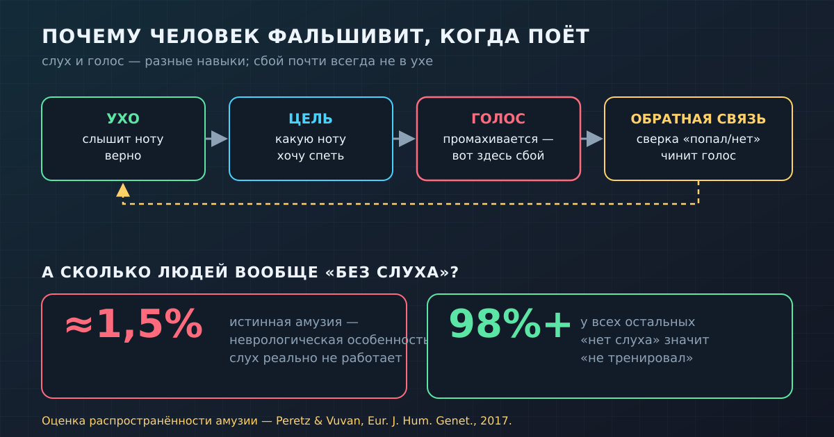 Почему человек фальшивит при пении: ухо слышит цель верно, сбой происходит на пути от слуха к голосу. Истинная амузия — редкость, у подавляющего большинства «нет слуха» значит «не тренировал».