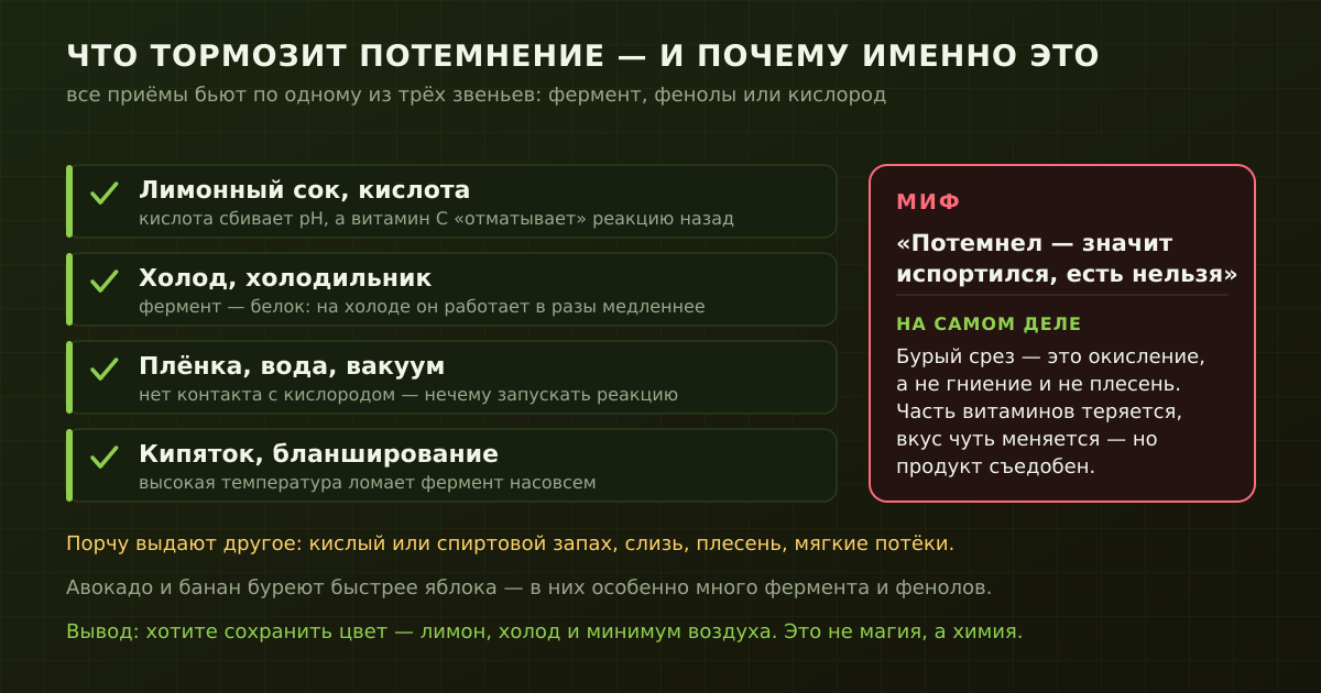 Четыре рабочих приёма против потемнения и главный миф: лимон, холод, плёнка и кипяток бьют по ферменту, фенолам или кислороду; бурый срез — окисление, а не порча.