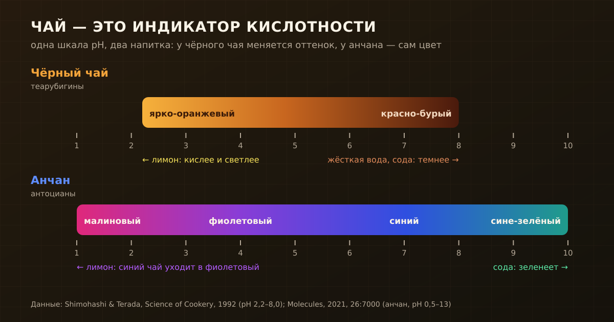 Чёрный чай и анчан на одной шкале pH: у чёрного чая кислота меняет оттенок от бурого к оранжевому, у анчана — сам цвет, от синего к фиолетовому