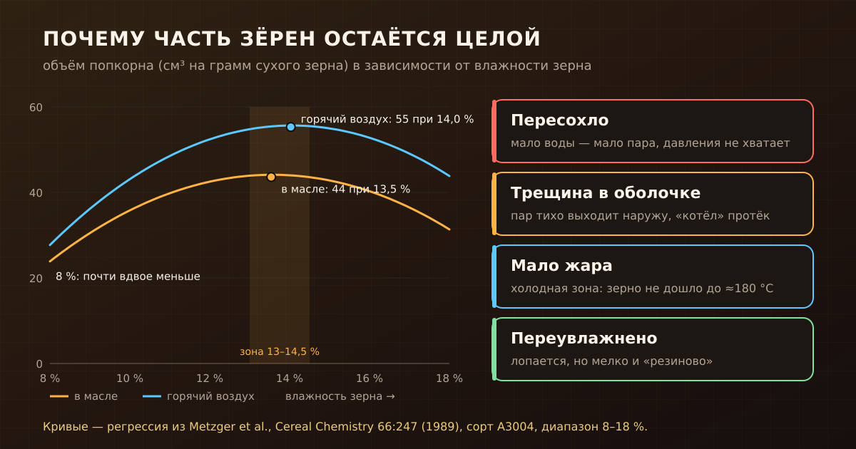 Объём попкорна резко падает, если зерно пересохло или переувлажнено; справа — четыре причины, по которым зёрна остаются целыми