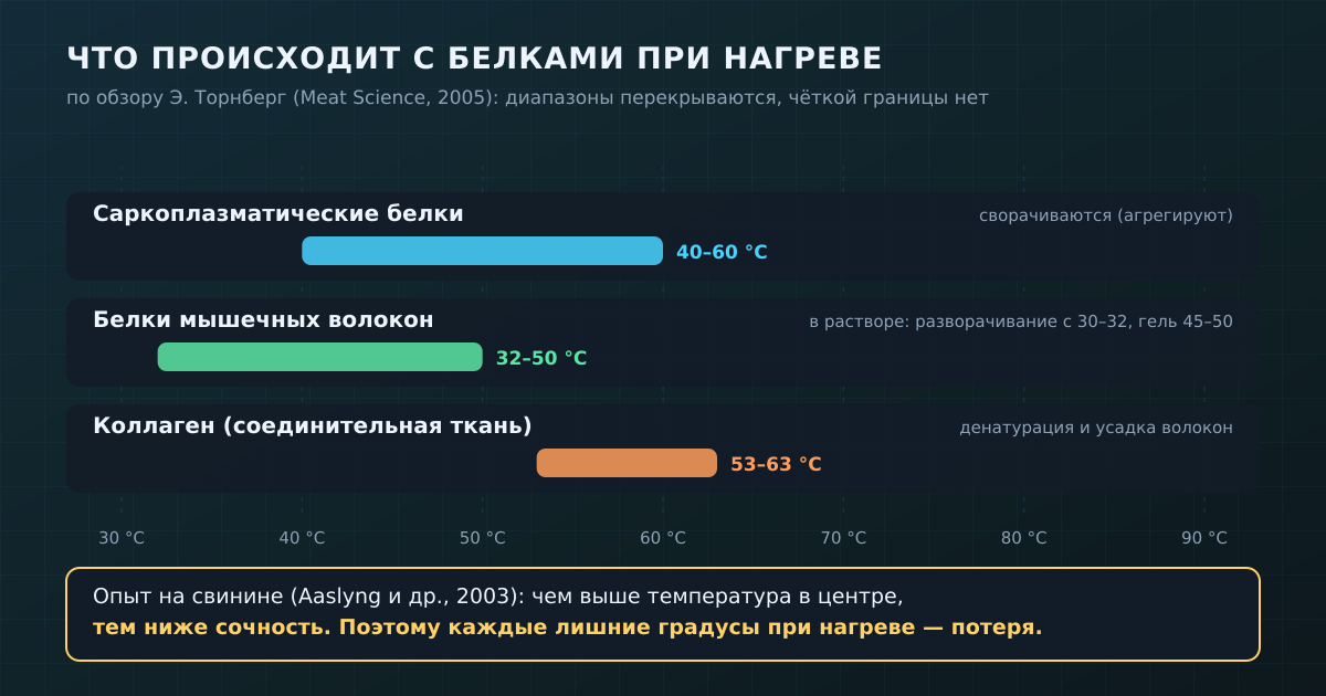 Белки мяса сворачиваются и сжимаются в разных температурных диапазонах; чем горячее в центре, тем меньше сочности