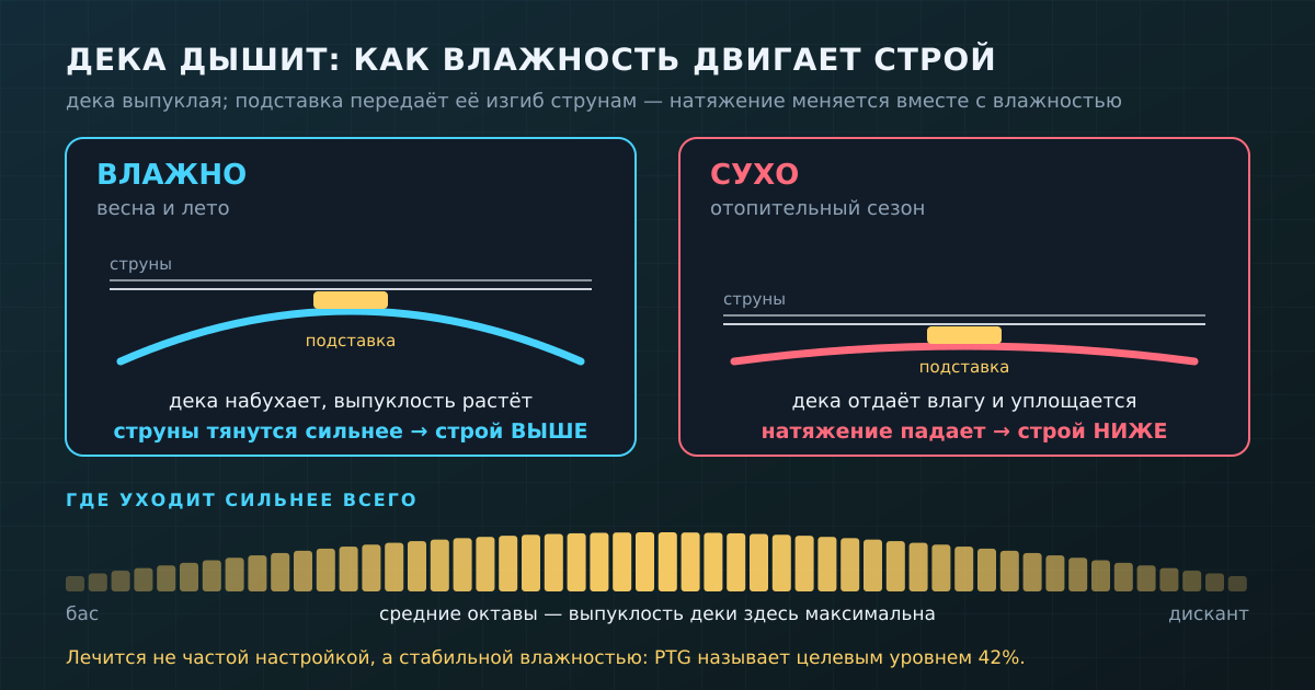 Дека выгнута вверх: во влажный сезон выпуклость растёт и строй поднимается, в сухой — оседает. Сильнее всего уходят средние октавы