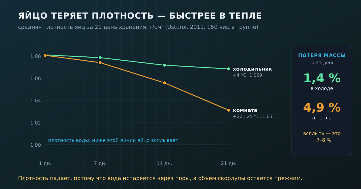 Плотность яиц за 21 день: в холодильнике она падает медленно, при комнатной температуре — почти втрое быстрее (данные Usturoi, 2011)