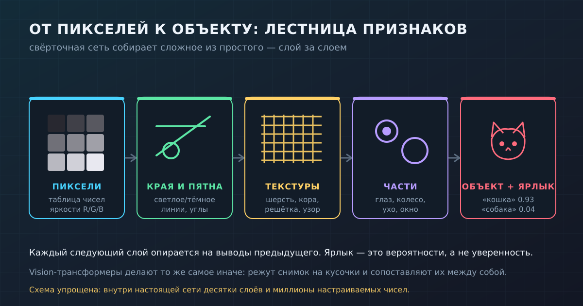 От пикселей к объекту: свёрточная сеть собирает сложное из простого — края и пятна, затем текстуры, части и, наконец, объект с ярлыком-вероятностью.