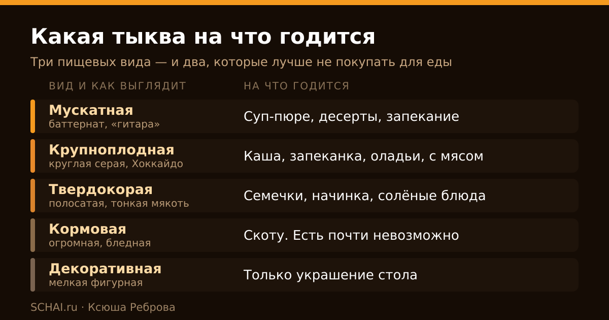 Вид тыквы, как она выглядит и на что годится