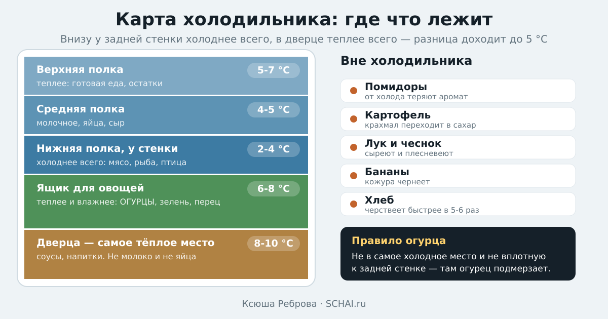 Карта холодильника: где холоднее, где теплее и что куда класть