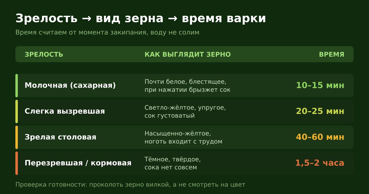 Зрелость початка, вид зерна и время варки