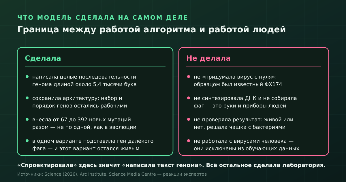 Что здесь сделал алгоритм, а что — лаборатория: границу стоит держать в голове при чтении любого пересказа